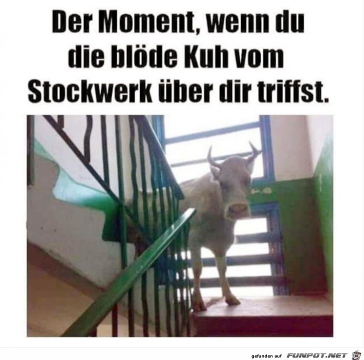 Dieser Moment