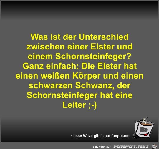 Was ist der Unterschied zwischen einer Elster und einem... Was ist der Unterschied zwischen einer Elster und einem...