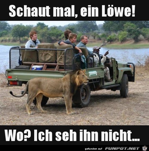 wo ist der Löwe? wo ist der Löwe?