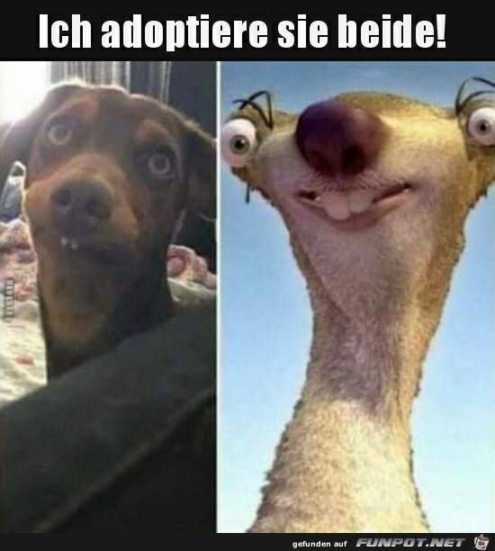 Ich adoptiere sie beide Ich adoptiere sie beide