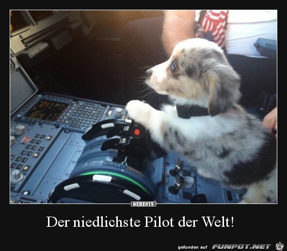 Der niedlichste Pilot der Welt