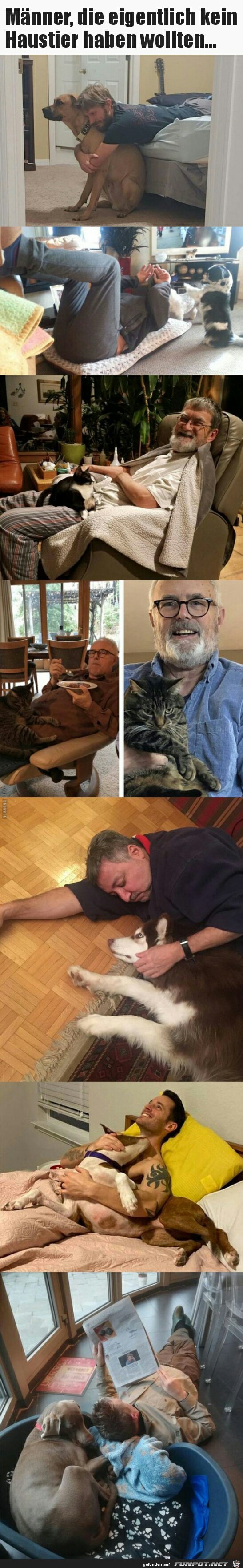 Männer, die eigentlich kein Haustier haben wollten... Männer, die eigentlich kein Haustier haben wollten...