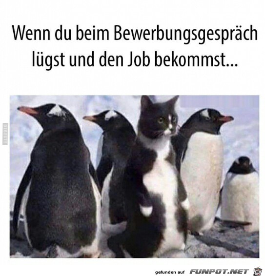 Wenn du beim Bewerbungsgesprch lgst........