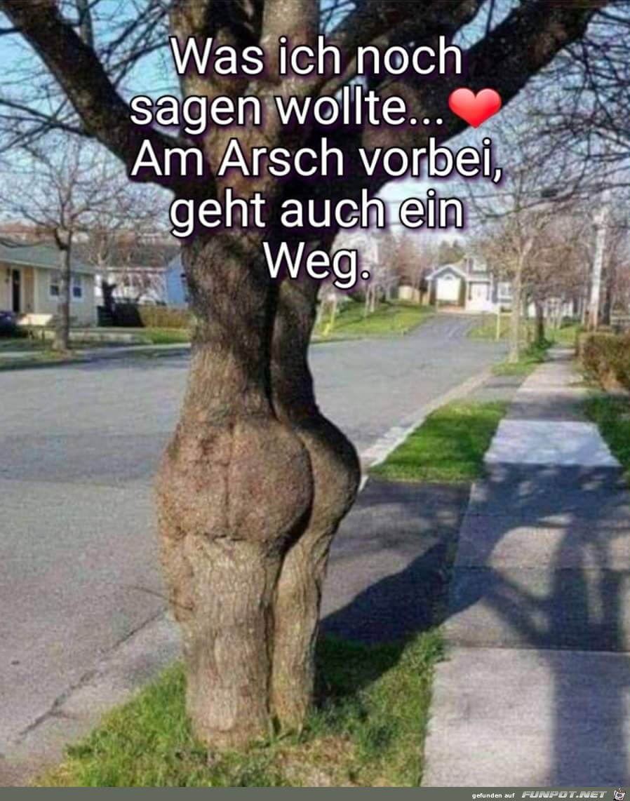 Am Arsch vorbei ...