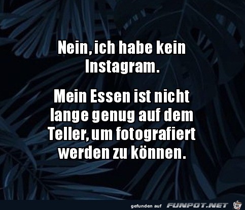 Ich habe kein Instagram