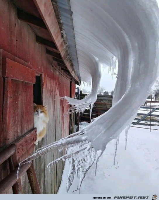 Faszinierende Eiszapfen