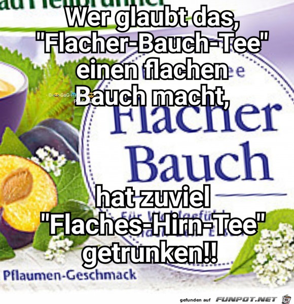 Flaches Hirn Tee Flaches Hirn Tee