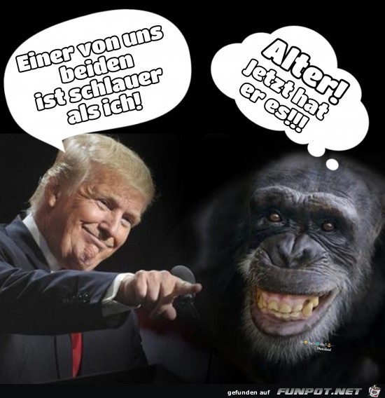 Er hat es kapiert Er hat es kapiert