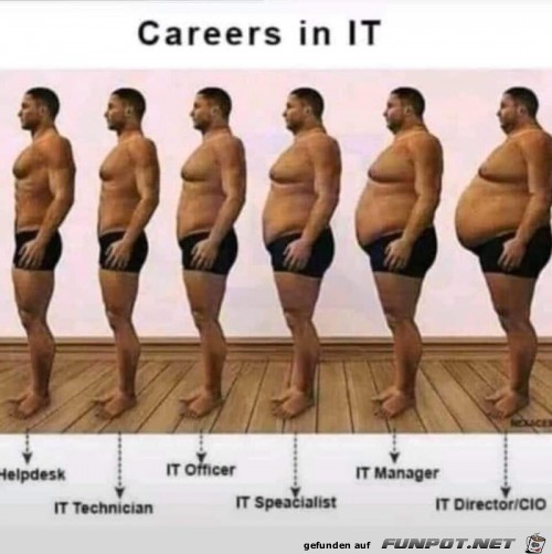 Karriere in der IT