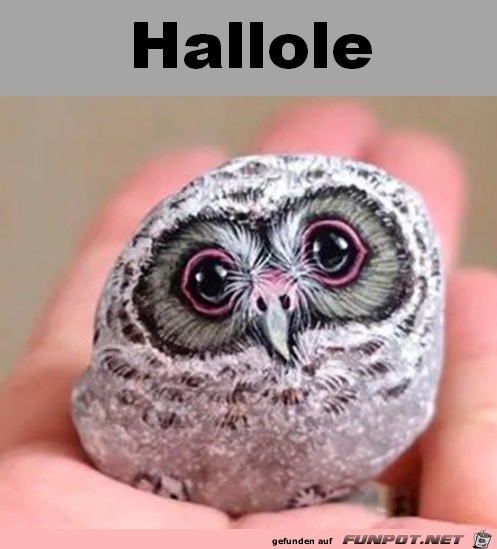 Hallole