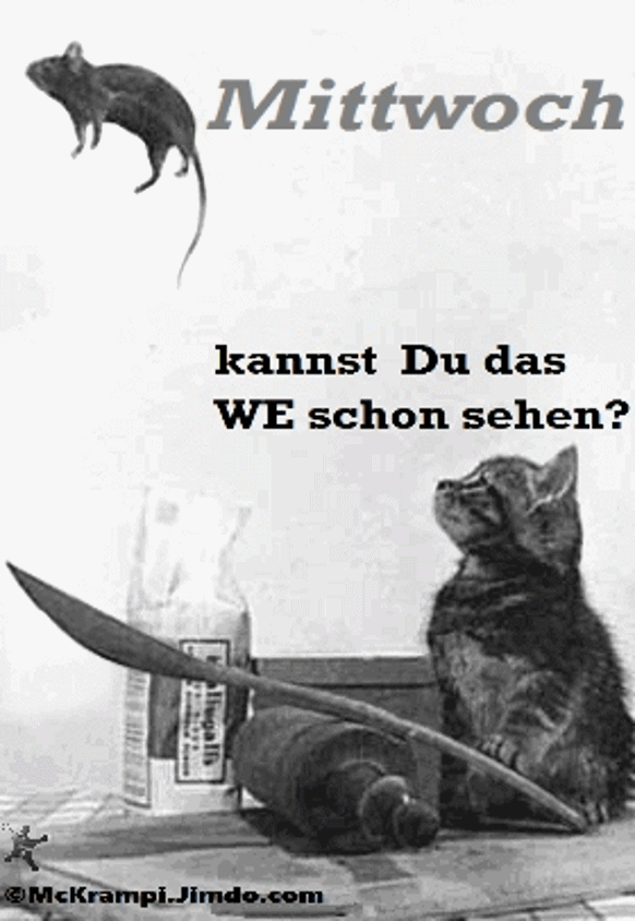 Mittwoch Mittwoch