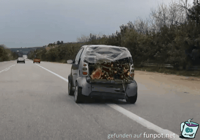 Smart als Holztransporter