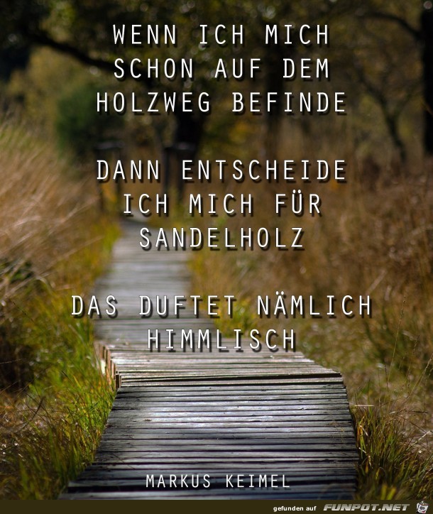 wenn ich mich schon wenn ich mich schon