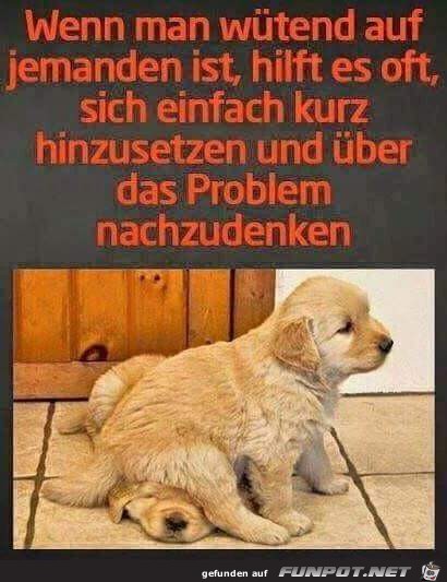 wenn man wuetend wenn man wuetend