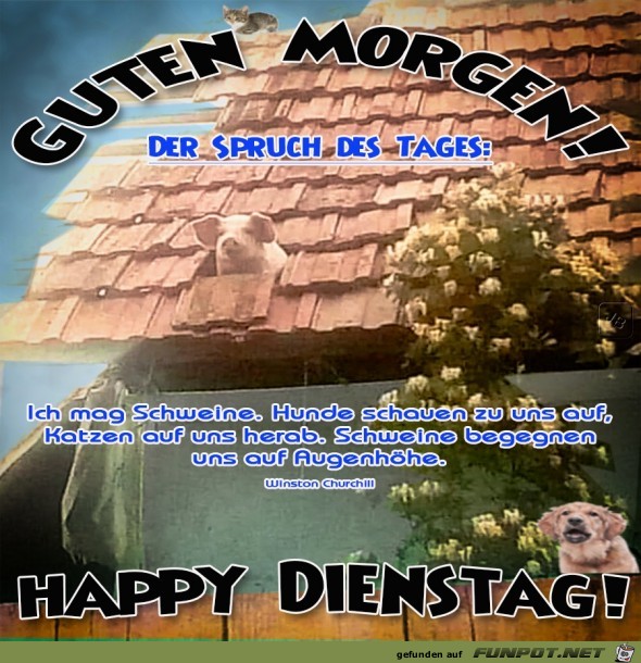 Dienstag