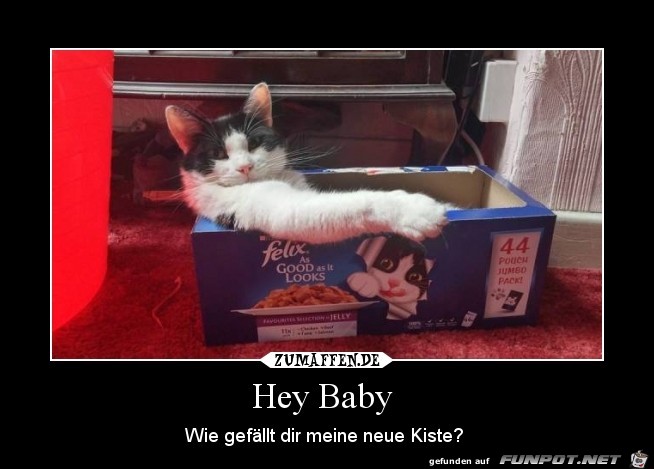Hey Baby Hey Baby