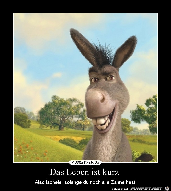 Das Leben ist kurz