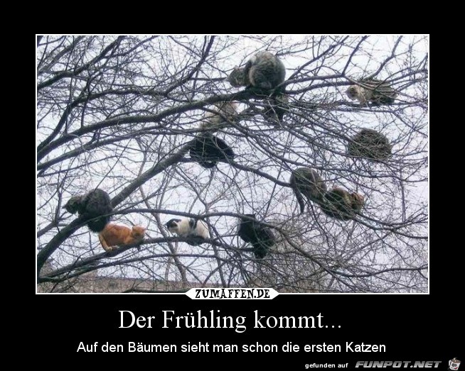 Der Frühling kommt Der Frühling kommt