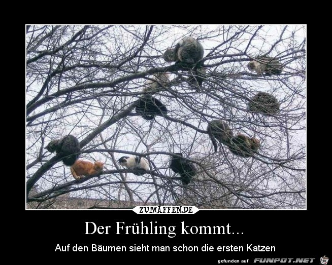 Der Frhling kommt