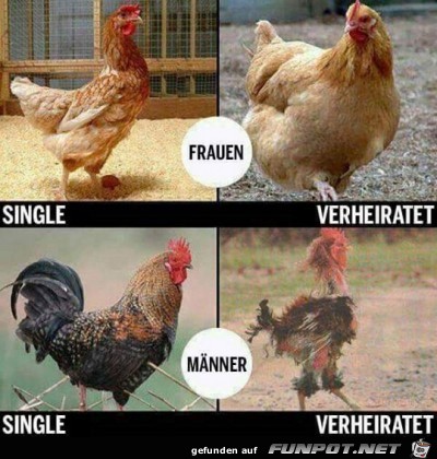 Frauen & Männer Frauen & Männer