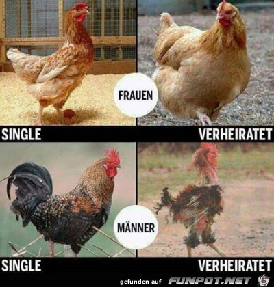 Frauen & Mnner