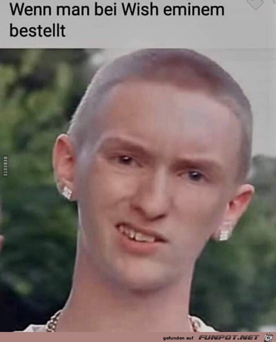 Wenn man bei Wish eminem bestellt Wenn man bei Wish eminem bestellt