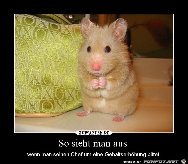 So sieht man aus So sieht man aus