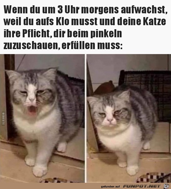 Wenn du um 3 Uhr morgens aufwachst,weil du auf‘s Klo musst Wenn du um 3 Uhr morgens aufwachst,weil du auf‘s Klo musst