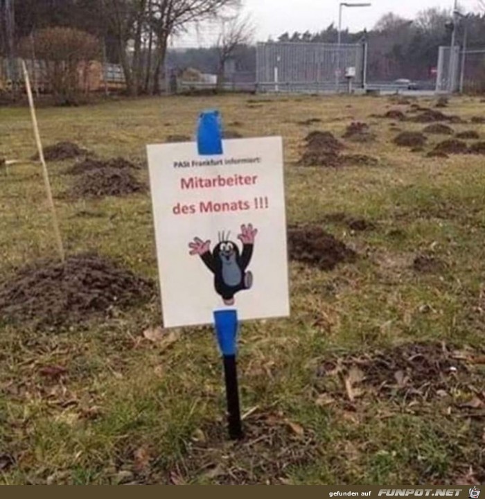 Mitarbeiter des Monats Mitarbeiter des Monats