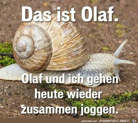 Das ist Olaf