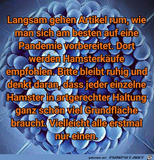 Artgerechte Hamsterkaeufe Artgerechte Hamsterkaeufe