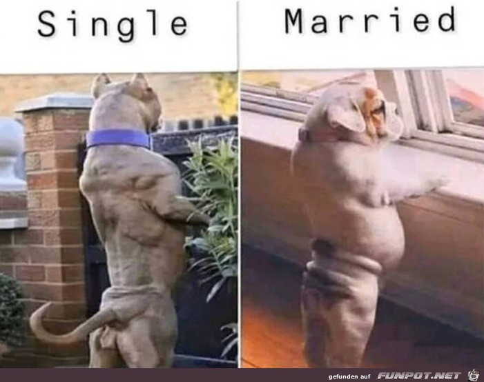 Unterschied zwischen single und verheiratet