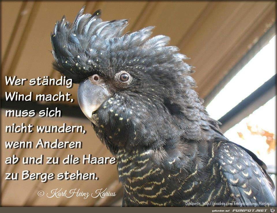 wer staendig wer staendig