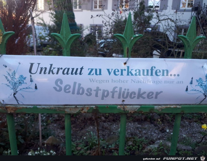 Unkraut