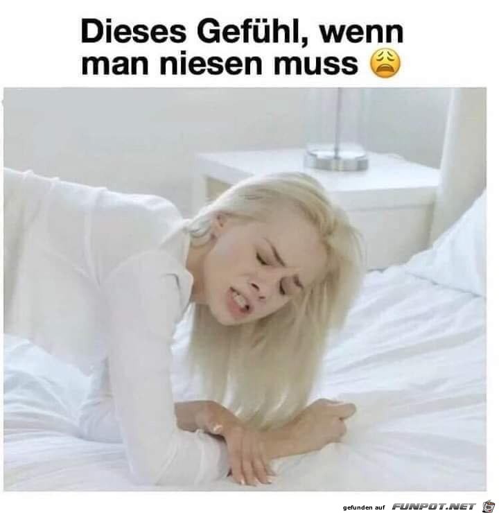 Dieses Gefühl, wenn man niesen muss Dieses Gefühl, wenn man niesen muss