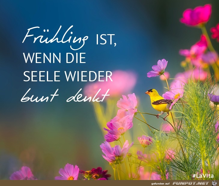 Fruehling ist