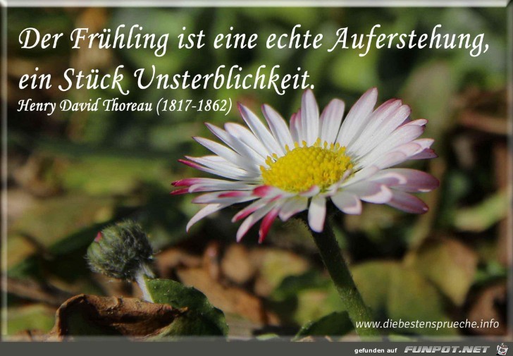 Fruehling ist eine Auferstehung