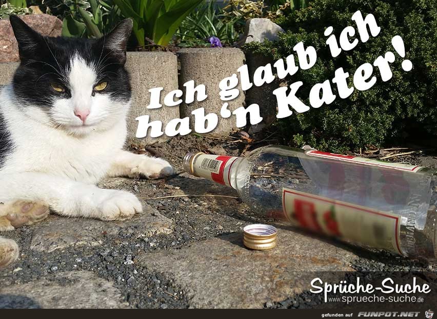 Ich Glaub Ich Glaub
