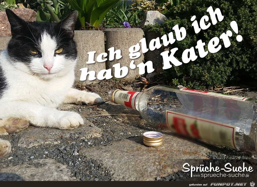 Ich Glaub