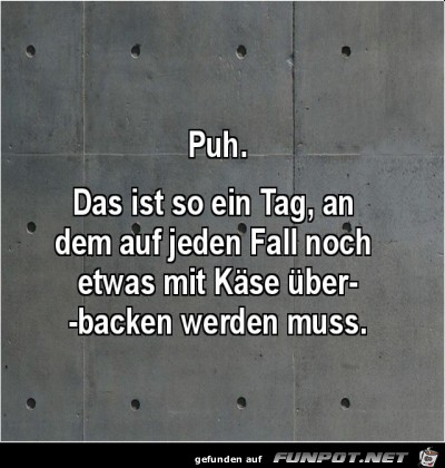Heute wird noch was mit Käse überbacken Heute wird noch was mit Käse überbacken