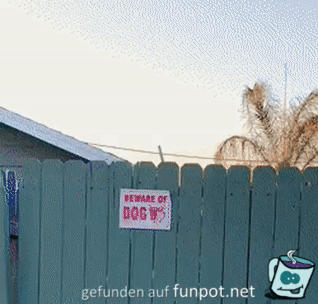 Gefährlicher Wachhund Gefährlicher Wachhund