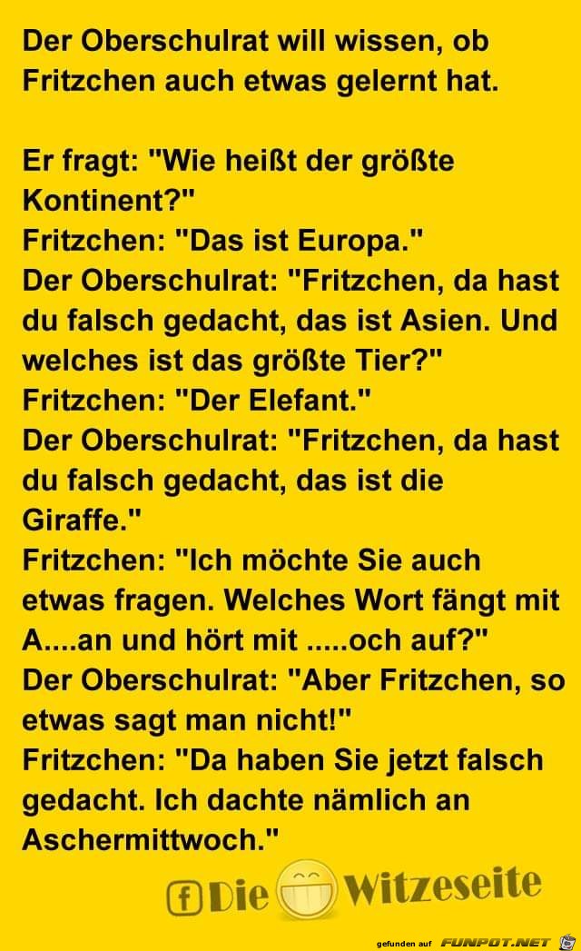 Der Oberschulrat Der Oberschulrat