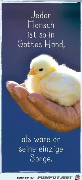 jeder Mensch jeder Mensch
