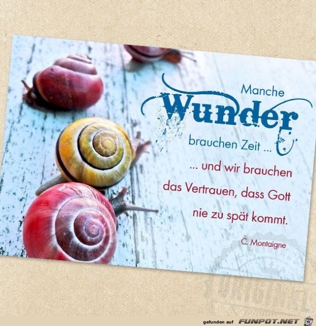 manche Wunder manche Wunder