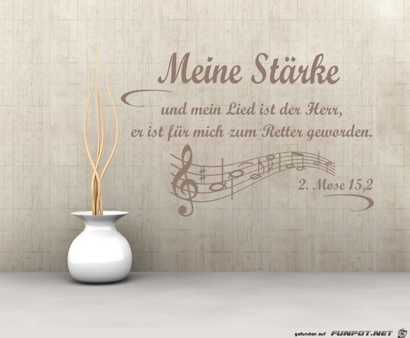 meine Staerke meine Staerke