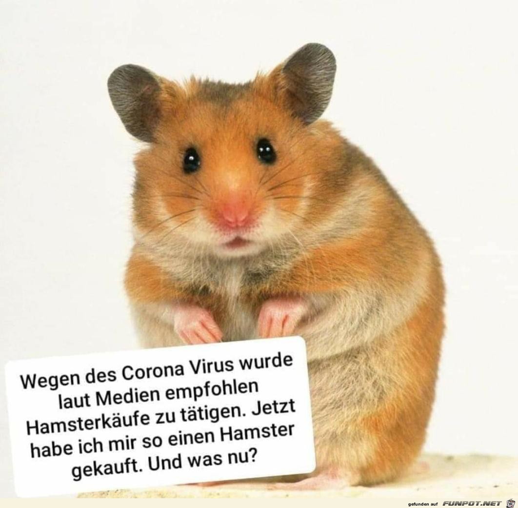 Hamsterkäufe Hamsterkäufe