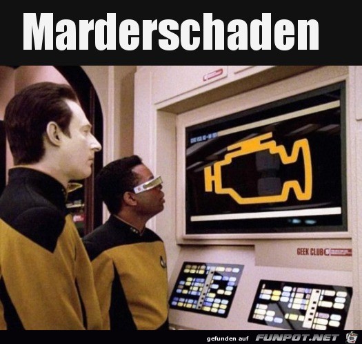 Das kann nur ein Marderschaden sein