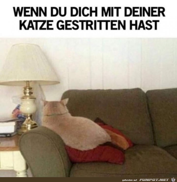 Wenn-du-dich-mit-deiner-Katze-gestritten-hast.jpg auf www.funpot.net
