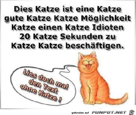 Die Katze