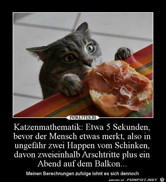 Katzenmathematik